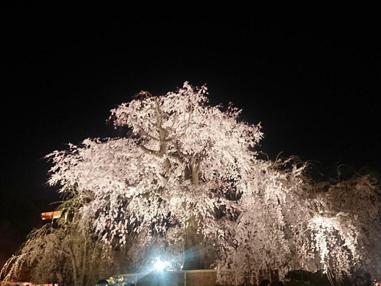 Hostel Kyoto Arashiyama Muko Dış mekan fotoğraf